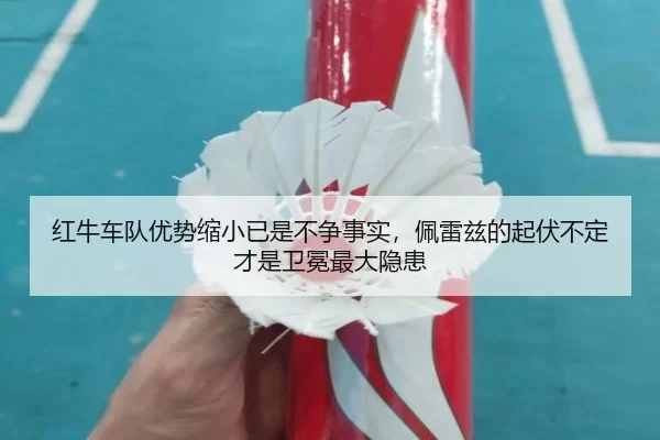 hong-niu-che-dui-you-shi-suo-xiao-yi-shi-bu-zheng-shi-shi-pei-lei-zi-de-qi-fu-bu-ding-cai-shi-wei-mian-zui-da-yin-huan-3-826.jpg